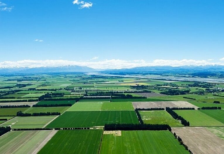 本社はオーストラリアだが、契約農家はニュージーランドにある。豊かな土壌と特有の気候が、栄養価が高いカンナビスサティヴァ種ヘンプシードを育てる。