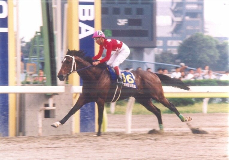 的場を背に無敗で1993年の羽田盃（写真）を制したブルーファミリー。続く東京ダービーでも圧倒的な1番人気に支持されたが、外枠が仇となって5着に敗れた　協力：TCK（東京シティ競馬）