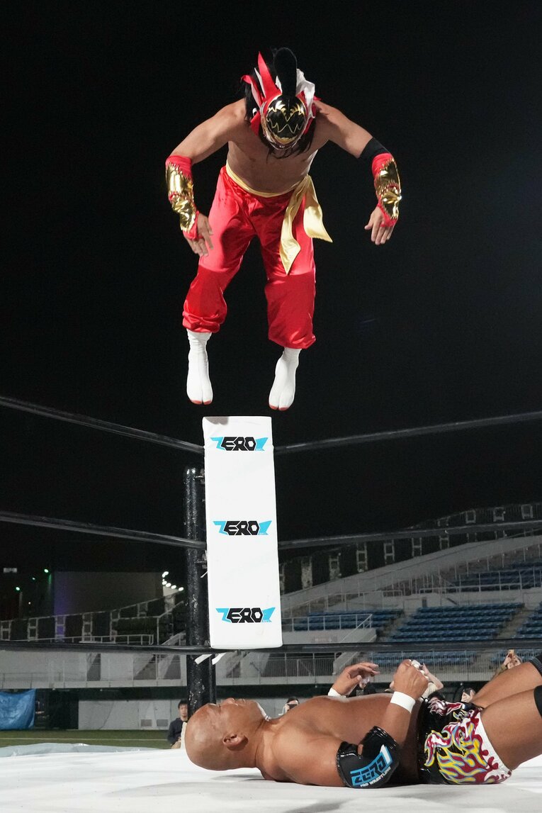 ファイヤーバード・スプラッシュに行くハヤブサ　©Essei Hara