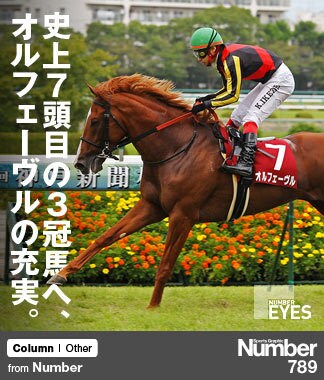 オルフェーヴル　たてがみ　競馬　三冠馬 記録よりも記憶に残る」という言葉が似合う、稀代のクセ馬でも