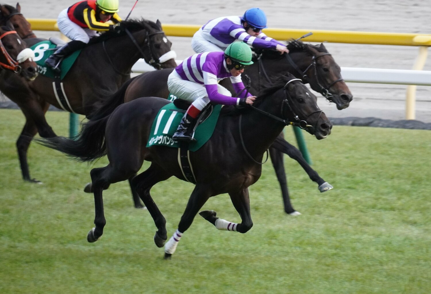 東京新聞杯を制したイルーシヴパンサー　©Satoshi Hiramatsu