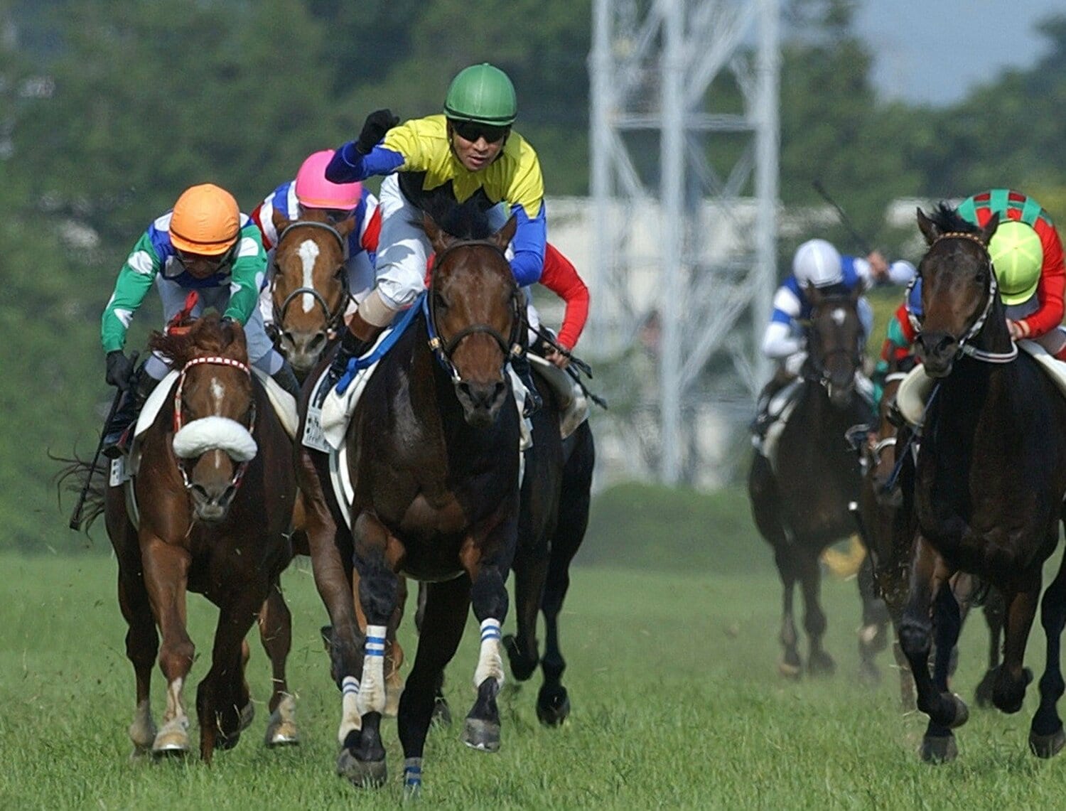 安藤勝己を背に2004年のダービーを制したキングカメハメハ。種牡馬としてもドゥラメンテ、レイデオロと2頭のダービー馬を輩出している　©JIJI PRESS