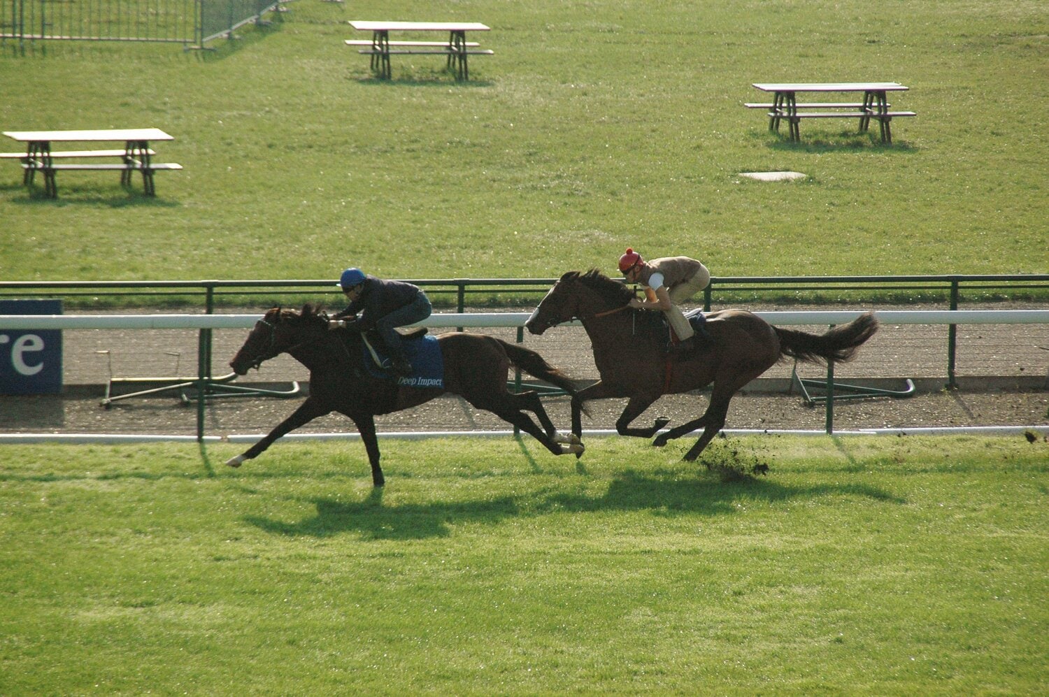 2006年9月13日、ロンシャン競馬場での行われたディープインパクトの追い切り ©JIJI PRESS