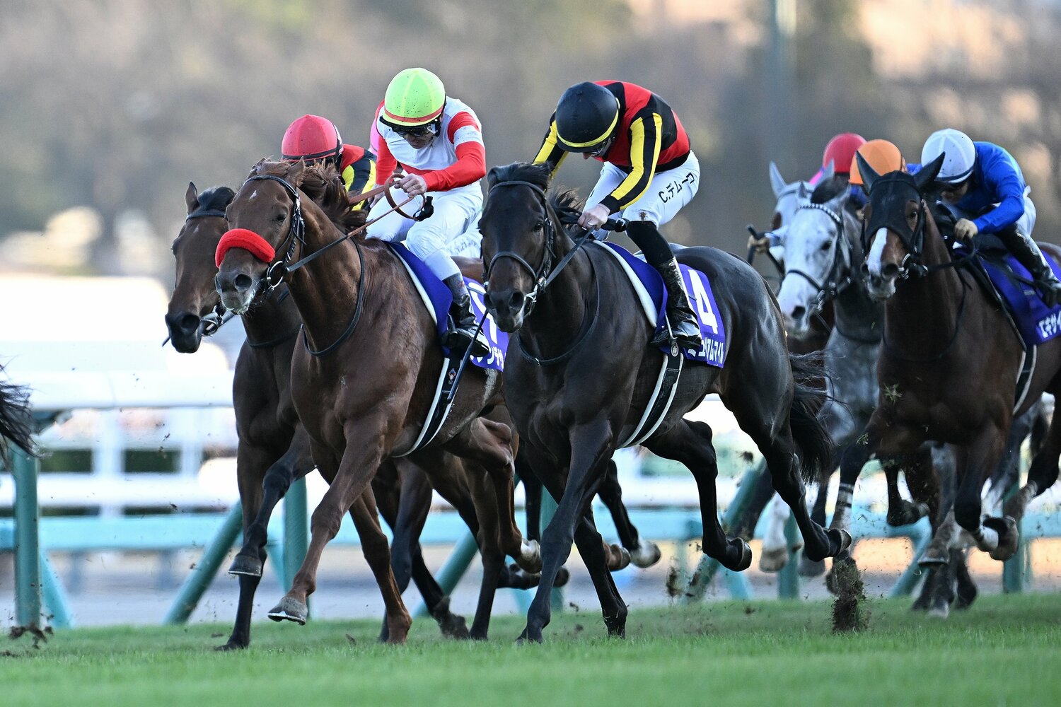 直線で末脚を爆発させるミュージアムマイル　©Keiji Ishikawa
