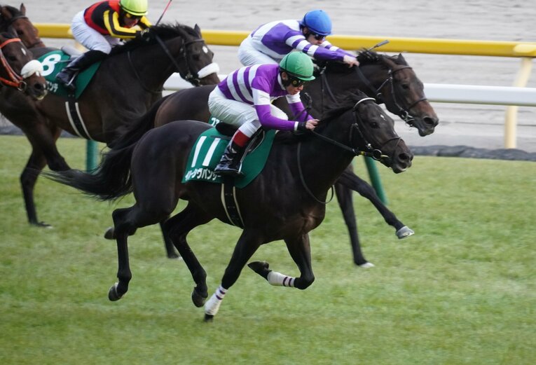 東京新聞杯を制したイルーシヴパンサー　©Satoshi Hiramatsu