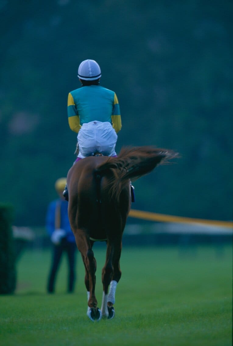 サイレンススズカ　©Sports Graphic Number