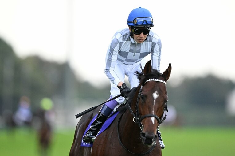 返し馬でのドウデュースと武豊　©Keiji Ishikawa