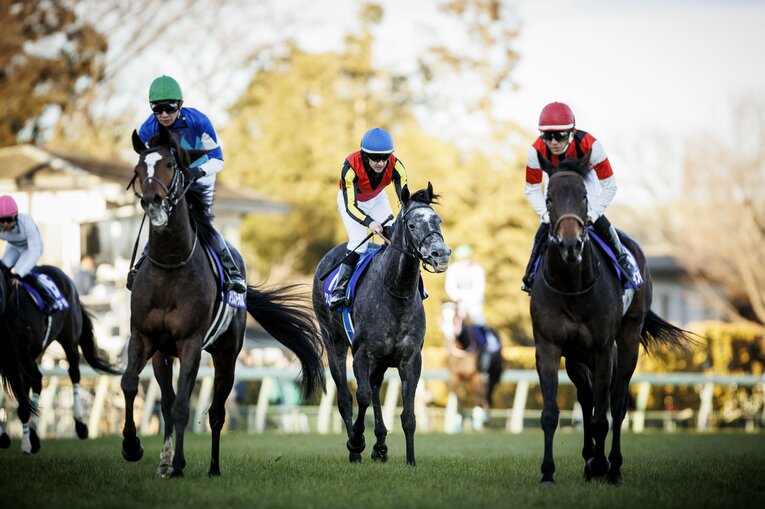 3歳時には有馬記念も制覇（2021年）©Kiichi Matsumoto