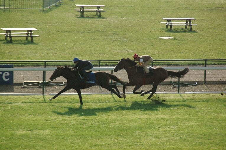 2006年9月13日、ロンシャン競馬場での行われたディープインパクトの追い切り　©JIJI PRESS