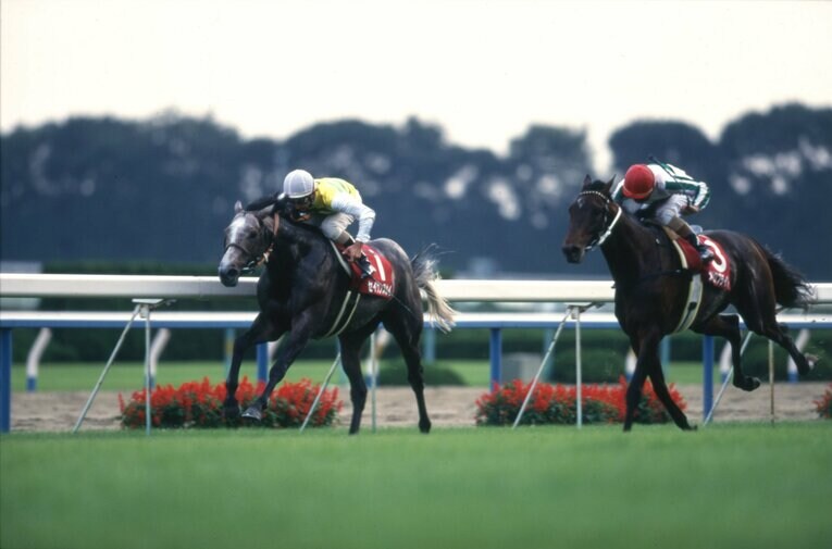 1998年京都大賞典、セイウンスカイ　©Tomohiko Hayashi