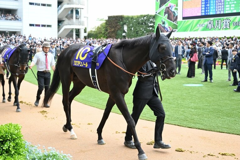 パドックでのクロワデュノール　©Keiji Ishikawa