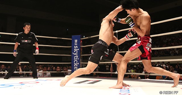 img_a51dedd37c4ccbf09c80a778ae