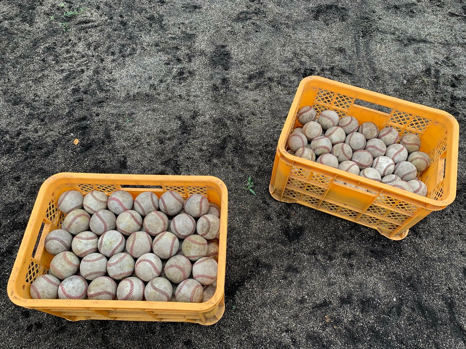 森高校野球部の練習風景（筆者撮影）