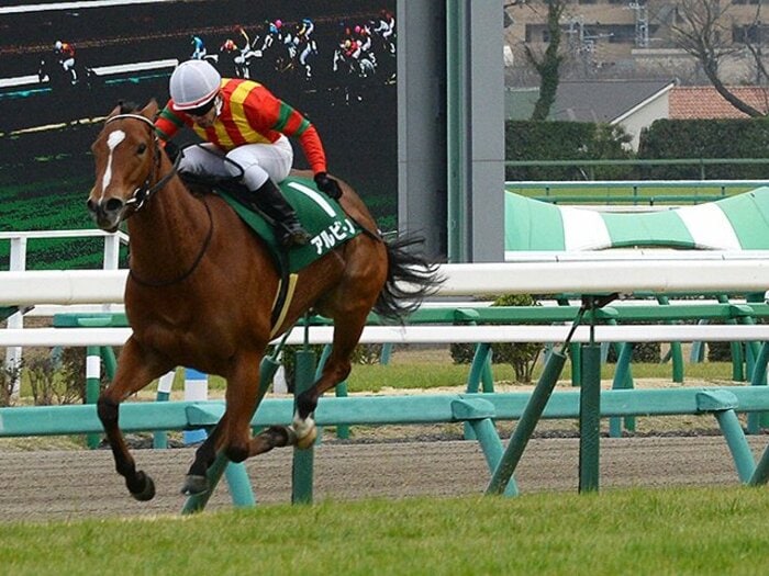 桜花賞不出走の快速牝馬が登場。気鋭のトレーナーが挑むNHKマイルC。＜Number Web＞ photograph by NIKKAN SPORTS