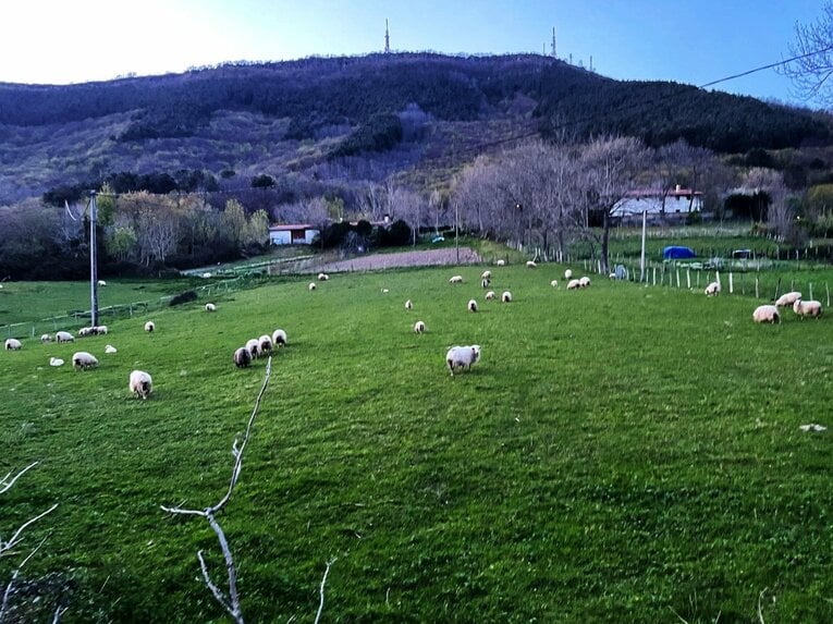 「TAKEあなたは最高です、と日本語で…」久保建英21歳はソシエダで愛される「日本人最多リーガ6点目＋“MVPタケクボ”コール」を撮った(58)