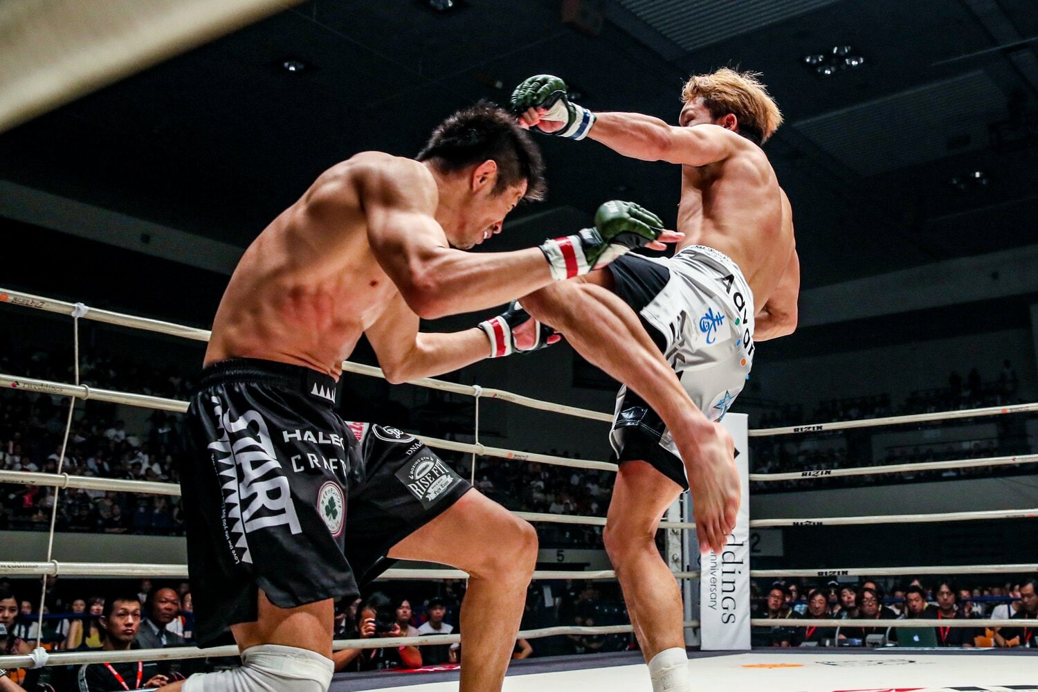 『RIZIN.12』で日沖発を仕留めた左ハイキックの連続写真　©RIZIN FF Susumu Nagao