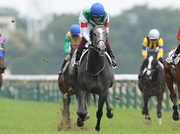 【新馬戦】ルメール「来年のダービー、予約します」早くも“クラシック本命候補”が？ 注目の2歳馬とその実力とは＜Number Web＞ photograph by Sankei Shimbun