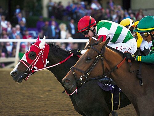 「あの冷静な川田将雅がむせび泣き」ラヴズオンリーユーら日本馬2頭が“米国の牙城”ブリーダーズカップ勝利、実際どれほどスゴい？ - 競馬 -  Number Web - ナンバー