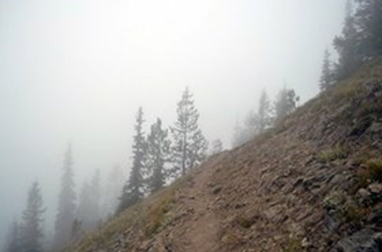 トレイルが濃い霧に包まれていく。 