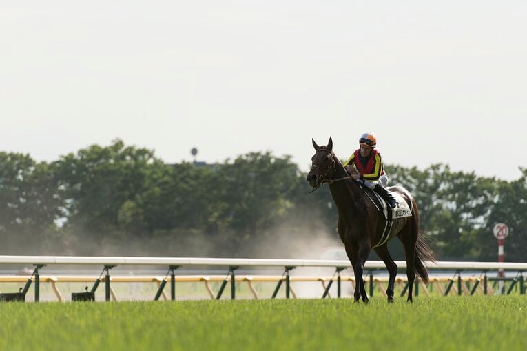 第82回（2015年）日本ダービーを制したドゥラメンテとミルコ・デムーロ　©︎Takuya Sugiyama