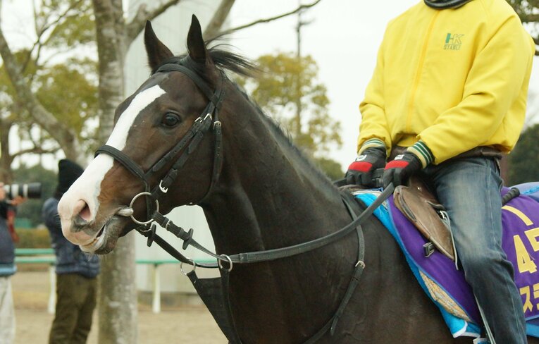 トレセンでのイスラボニータ