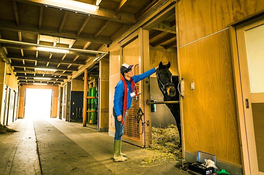 29歳の人気者“チケゾー”の今。最高齢ダービー馬へ柴田政人の伝言。<Number Web> photograph by Kei Taniguchi