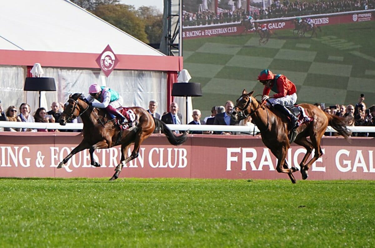 img_a79cdde29f9275a892357eaaba