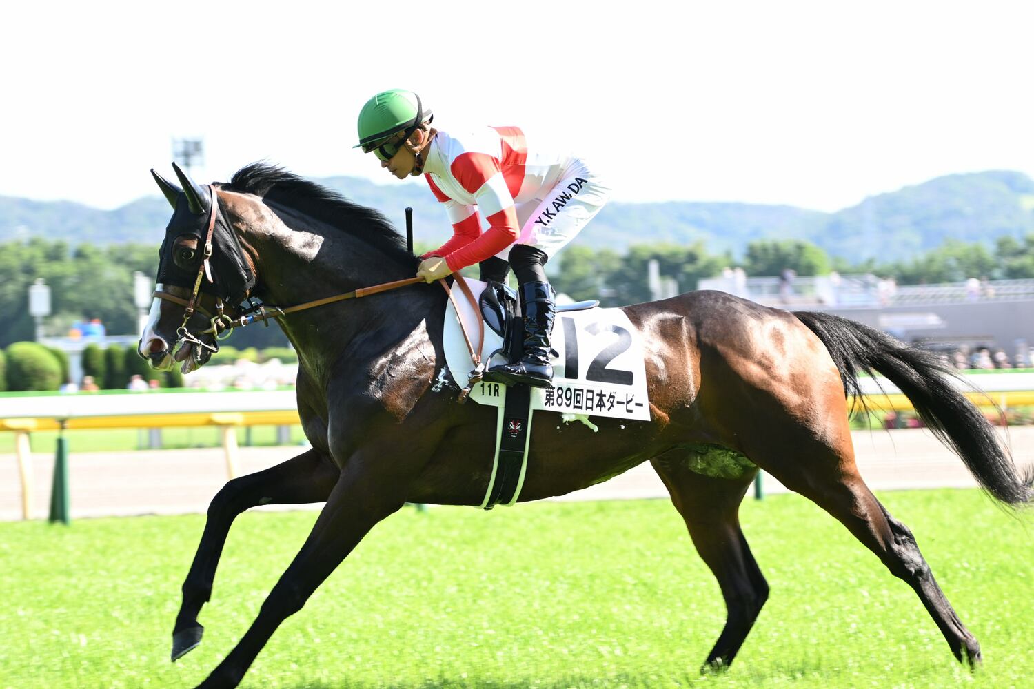 日本ダービー時のダノンベルーガ　©Keiji Ishikawa