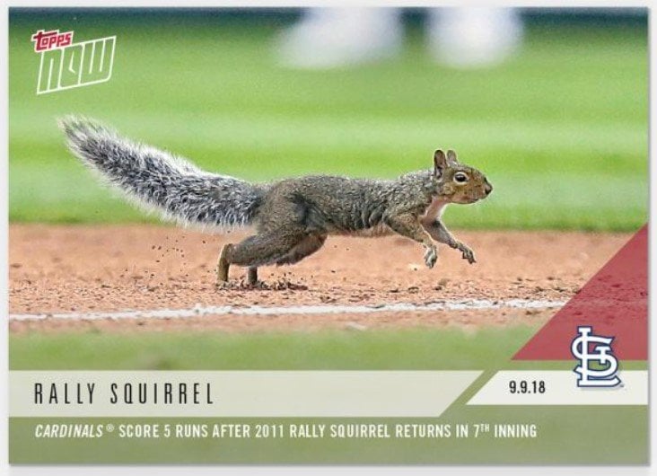 スクイレル（リス）のカード　©Topps