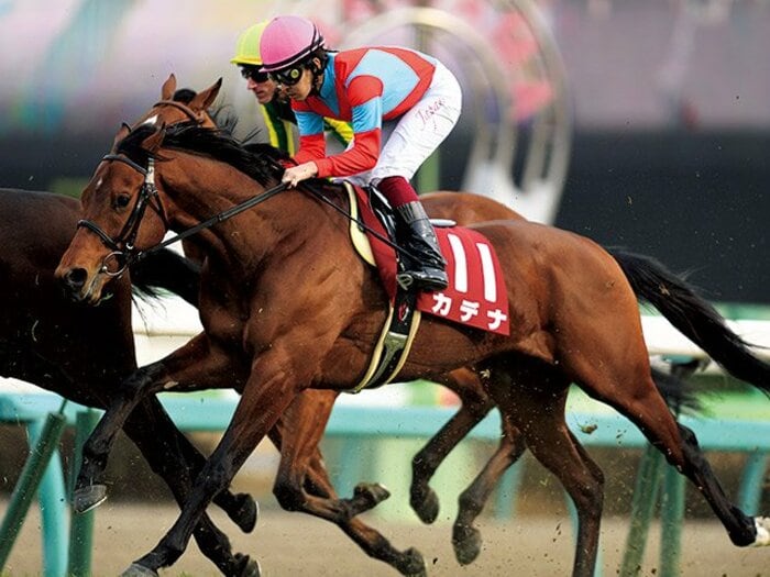 ＜Derby 2017＞弥生賞 カデナ――キズナの栄光、再び。＜Number Web＞ photograph by Keiji Ishikawa