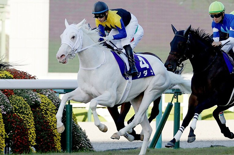 前走・秋華賞では10着に敗れたソダシ。ダート初挑戦での巻き返しなるか？ ／ photograph by JIJI PRESS