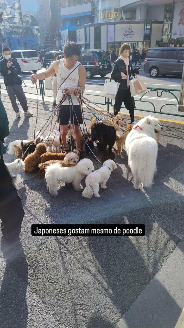 「日本人は、プードルが本当に好きだね」　※ボンテンポ記者のインスタグラムより