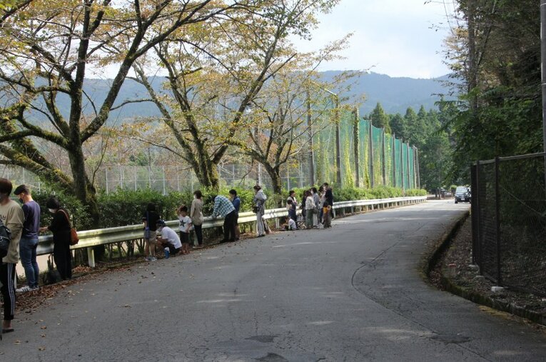 校舎外にもギャラリーが ／ photograph by Satoshi Shigeno