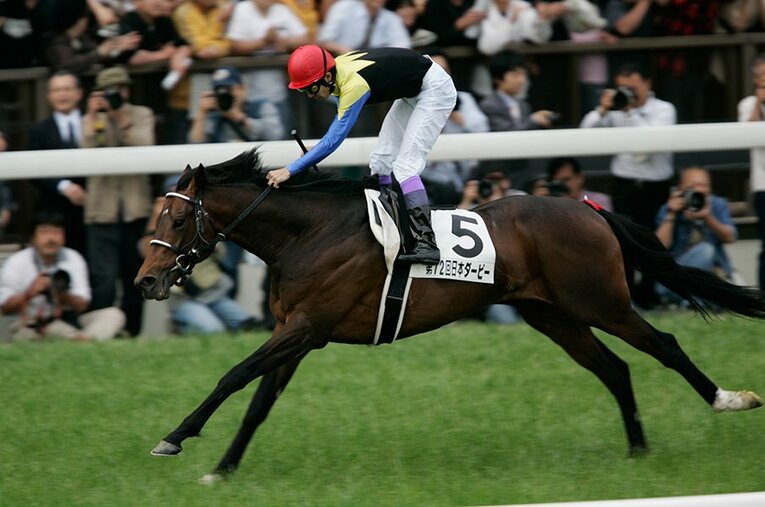 ディープインパクト ／ photograph by Takuya Sugiyama