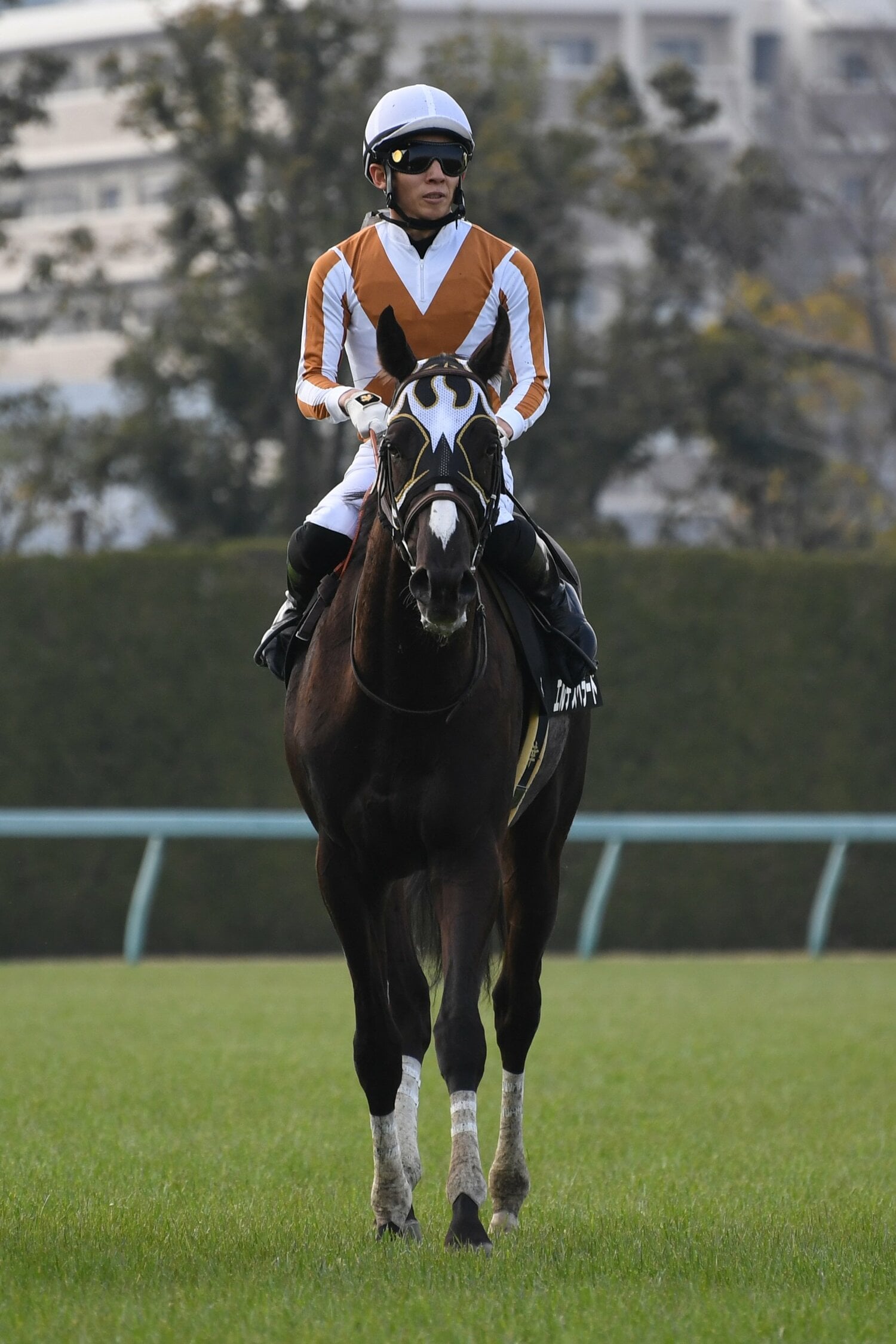 エルデスペラード号と鞍上の幸英明騎手　©Masashi Hara