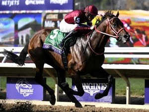 フォーエバーヤングは有馬記念を勝てるのか？ 2026年の“平地GI全24レース”を大胆予想「大谷翔平のサイン馬券も？」「ダービー馬予想は“自信度A”」