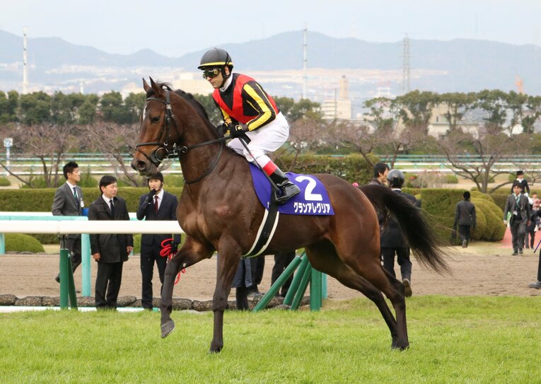 2歳児のグランアレグリア