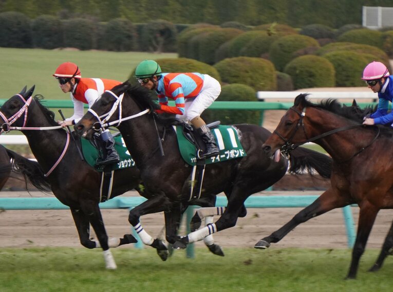 ディープボンド