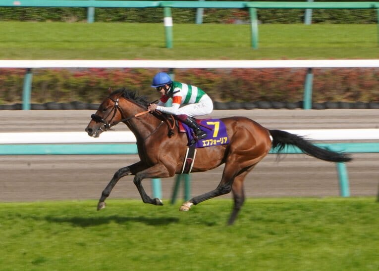 日本ダービーはエフフォーリアとサトノレイナスだけではない？ “皐月賞の着順＝実力”とは考えない方がいい理由(9)