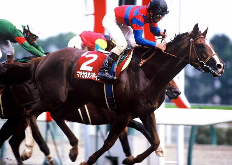 マチカネタンホイザに騎乗する柴田善臣騎手　©Tomohiko Hayashi