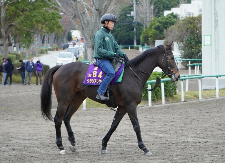 3歳時のグランアレグリア