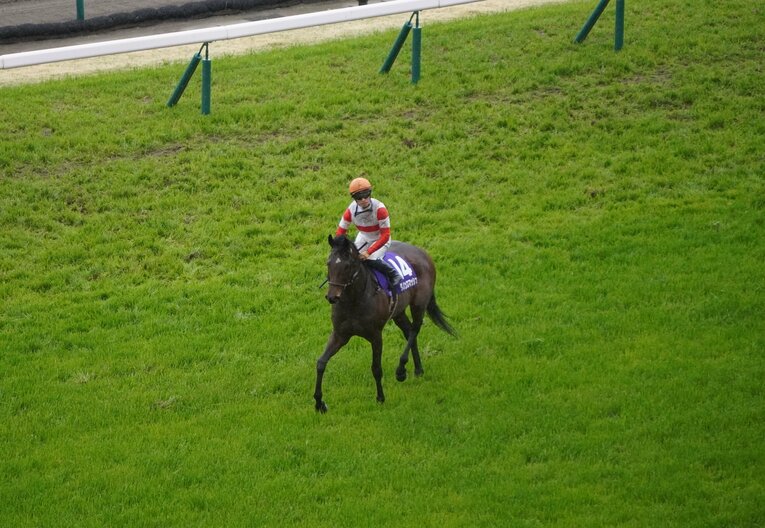 ダノンスマッシュ＆レッドルゼル、2頭の善戦に安田隆行師が涙 「ムーアが褒めてくれた。誇りにしたい」(6)