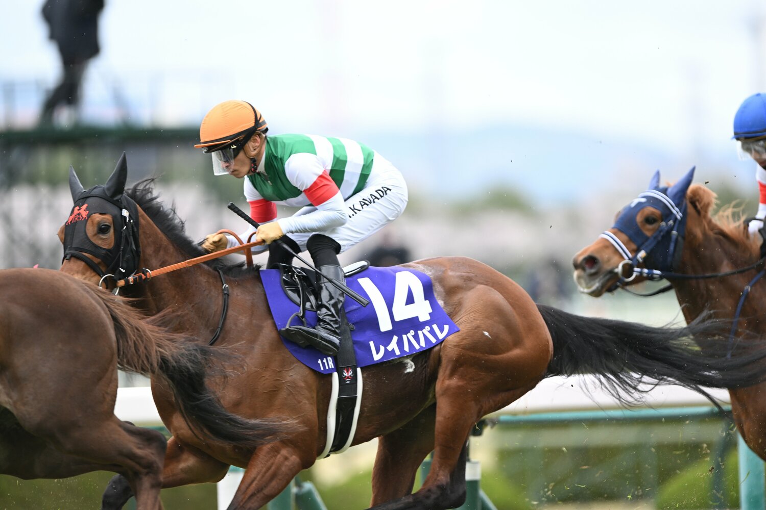 前走大阪杯（GI）では3着となったレイパパレ　©Keiji Ishikawa