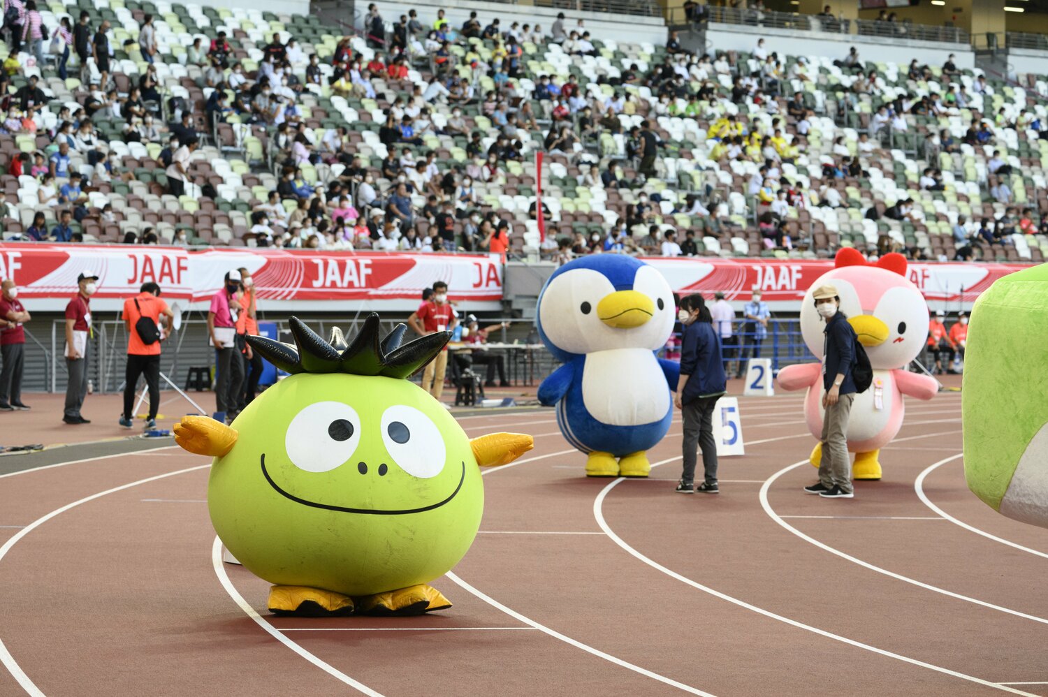 おすまし顔でスタート位置に着くぱちゃぽ。 ©Hirofumi Kamaya