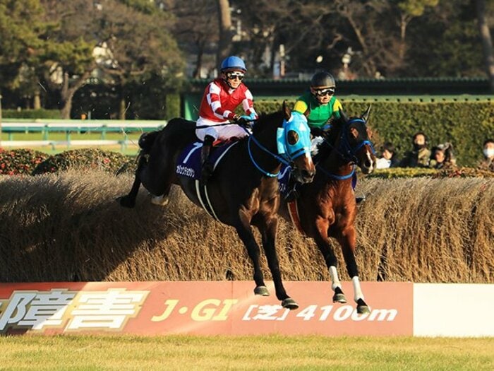キタサン満票を阻止した障害の名馬。オジュウチョウサンの絶対王者ぶり。＜Number Web＞ photograph by AFLO