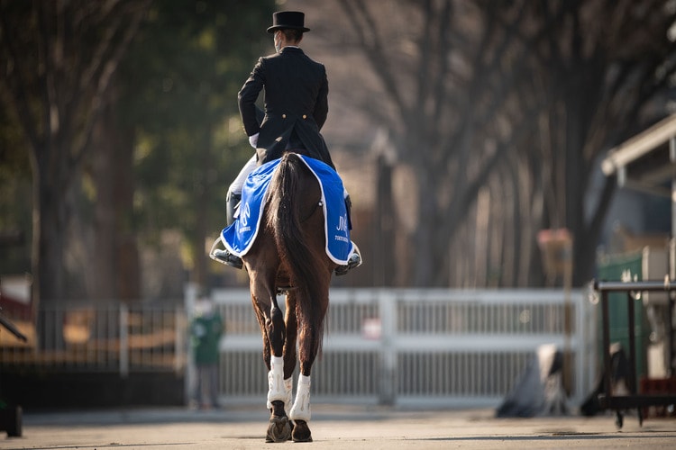 頑張ったね」サクセスブロッケンの“誘導馬引退”と最後のキス ダービー