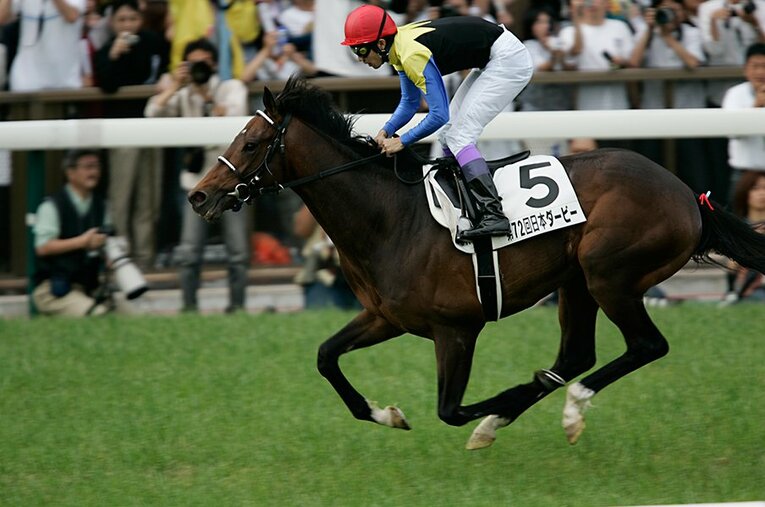 武豊が「飛んでいるようだった」と評したディープインパクト。無類の強さで愛されたサラブレッドが17歳の生涯に幕を閉じた。 ／ photograph by Takuya Sugiyama