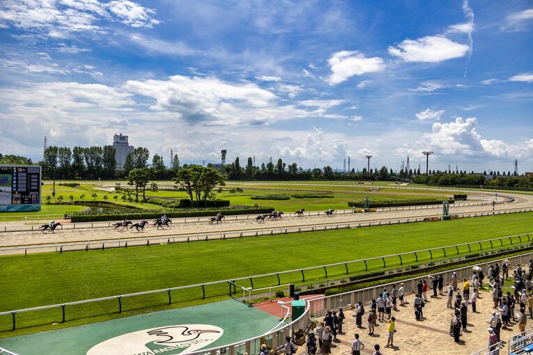 新潟競馬場 ／ photograph by photostud