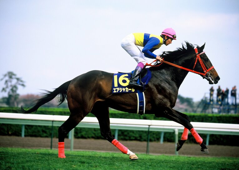 2000年の皐月賞と菊花賞を制した二冠馬エアシャカール　©Keiji Ishikawa