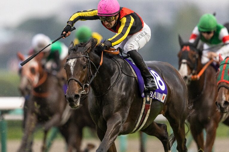 11月13日のエリザベス女王杯にて、GI初制覇となった良血馬ジェラルディーナ ／ photograph by Photostud